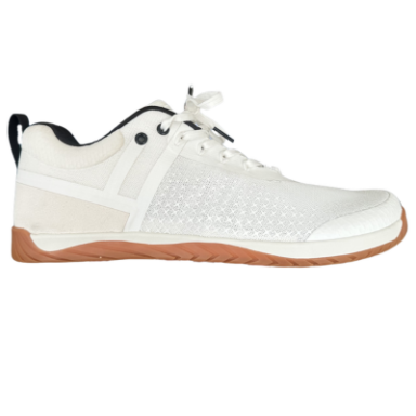 Forged & Tested Catalyst